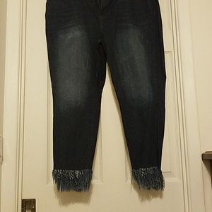 Lane Bryant, dark denim, frayed ankle